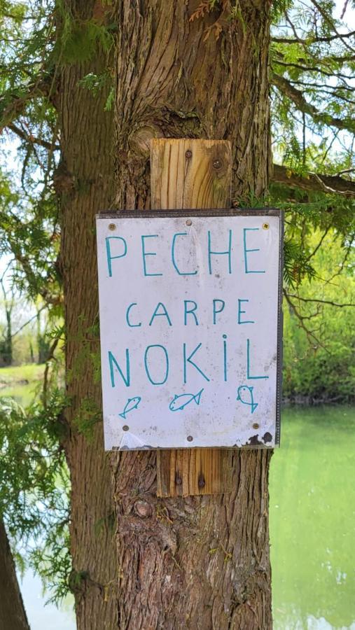 Hotel Anne Marie Touzani Boofzheim Zewnętrze zdjęcie